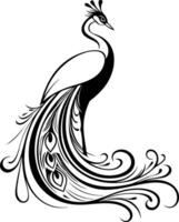 Elegant Peacock Silhouette with Swirling Feathers. vector