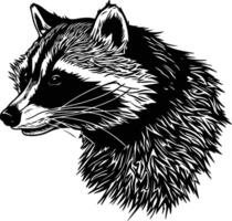 The Masked Bandit A Raccoon Portrait in Black and White. vector