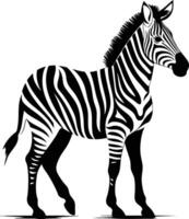 Striking Zebra Silhouette Against White Background. vector