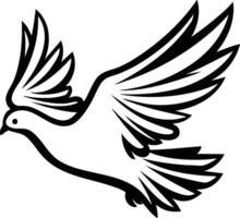 Graceful Flight of a White Dove in Black and White. vector