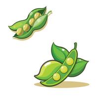 Two peas with leaves and pods on a white background vector