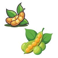 Pea and bean icons isolated on white background vector