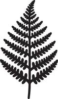 High Quality Fern Icon Art Images vector
