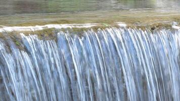 Pure mountain water running in a little stream video