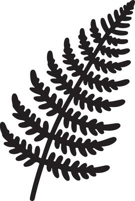 Explore Stunning Fern Icon Silhouettes