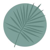 Palm tree leaf silhouette vector