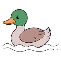 A duck swimming in the water on a white background vector