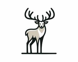 A deer with antlers is standing in front of a white background vector