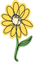 Sunflower plant, cartoon clipart png