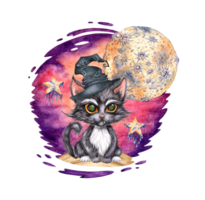 A black kitten in a witch's hat with big eyes sits at night with the moon and stars shining. Cat isolated from background. Witch's mystical familiar, Halloween tradition. For designing postcards png