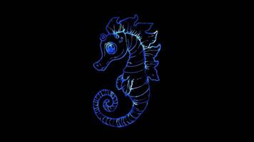 Neon frame effect, Seahorse whimsical seahorse with curly fins and a curious expression on black background video