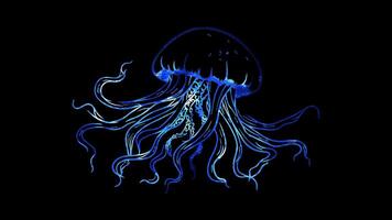 Neon frame effect, Jellyfish jellyfish with long, flowing tentacles and a friendly face on black background video