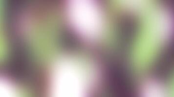 Soft Green and Purple Gradient Blur Background video