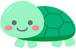 Hand Drawn Cute Sea turtle Animal Cartoon png