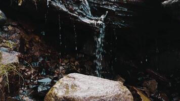 Water cascading down log in forest creating small waterfall video