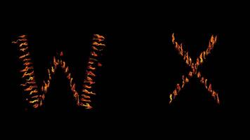 W X text. real fire flaming in slow motion. video
