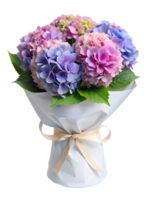 a bouquet of Hydrangea flower in a white package isolated on transparent background png