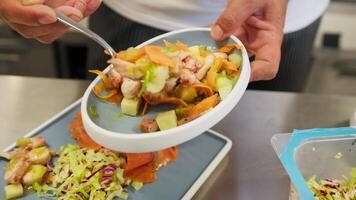 Chef Is Composing Seafood Appetizer With Octopus And Salad On A Plate video