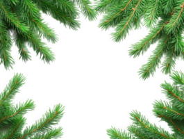 Christmas frame made of green spruce branches with place for text. Copyspace transparent png