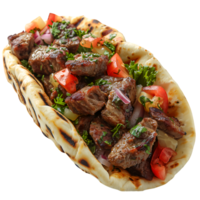 A close up of a meat and vegetable pita with a side of salad png