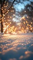 Soft sunlight reflects off the snow, creating a magical winter atmosphere photo
