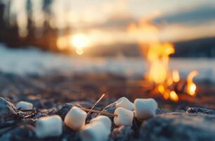 Marshmallows Roasting Over Campfire photo