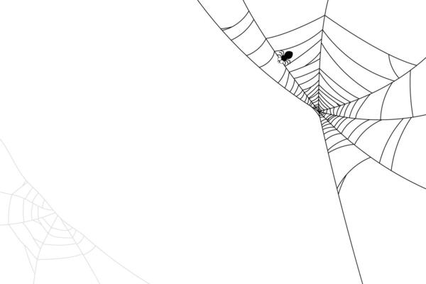 spider web with spider black and white abstract background, no people. insect or bug line art doodle style for backgrounds.