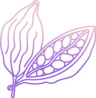 A line drawing of a cocoa pod vector