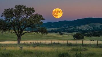 Full moon illuminating a tranquil landscape at dusk in a rural area photo