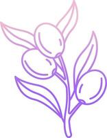 Olive branch with leaves and fruit illustration vector