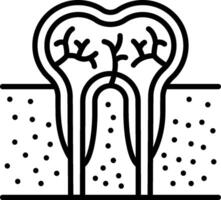 A tooth with a root and a root canal vector