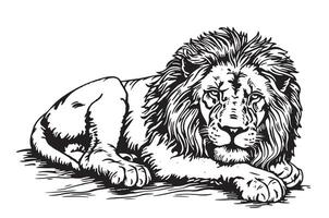 Lion lying hand drawn sketch illustration vector