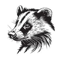 badger sketch head graphics picture vector