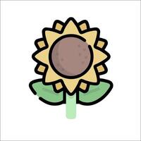 A sunflower icon on a white background vector