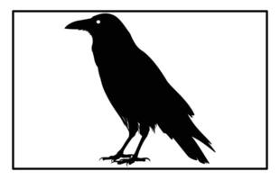 Mystic Raven Silhouette for Book Covers and Digital Art Projects vector
