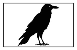 Dark Raven in Flight Silhouette for Tattoo and Art Designs vector