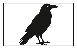 Detailed Raven Silhouette Dark and Elegant Bird Design vector