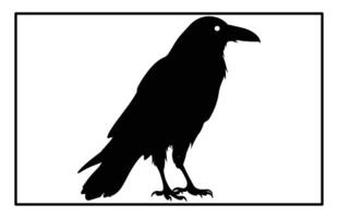 Classic Raven Bird Silhouette Suitable for All Design Styles vector