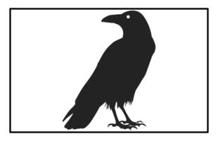 Realistic Raven Bird Silhouette for Nature and Wildlife Art Projects vector