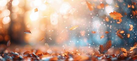 Autumn Leaves Falling in Sunlight photo