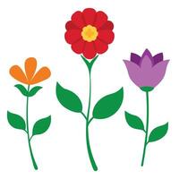 three flowers with leaves and stems on a white background vector