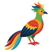 colorful bird with colorful feathers on white background vector