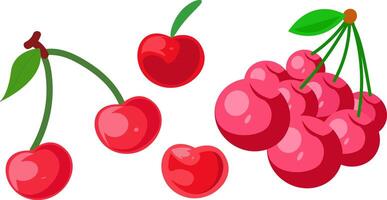 Bright Red Cherries Illustration with Leaves vector