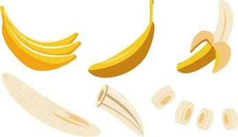 Various Stages and Cuts of Bananas Illustration vector