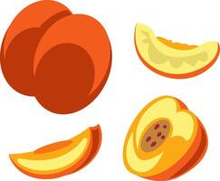 Fresh Peach Illustrations Whole, Sliced, and Halved vector