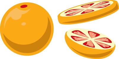 Fresh Juicy Grapefruit and Slices Illustration vector