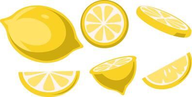 Illustration of Lemon Slices and Whole Lemon vector