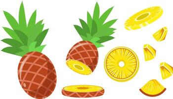 Fresh Pineapple Slices and Chunks Illustration vector