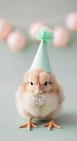 Chick in Party Hat With Lights photo