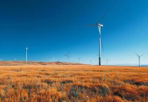 Wind Turbines in a Field of Dry Grass Under a Blue Sky photo